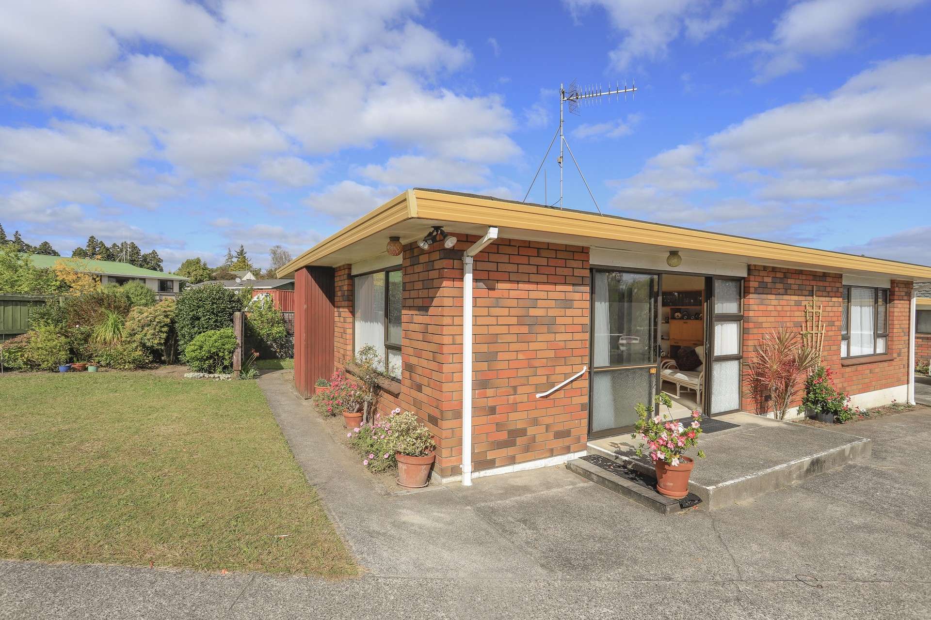 161a Boucher Avenue Te Puke_0