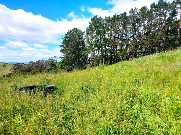 Lot 0 Te Rore Road Kaitaia_27