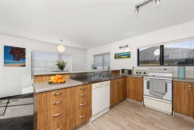 103b Eighteenth Avenue Tauranga South_1