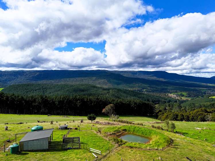 3364B State Highway 12 Aranga_24