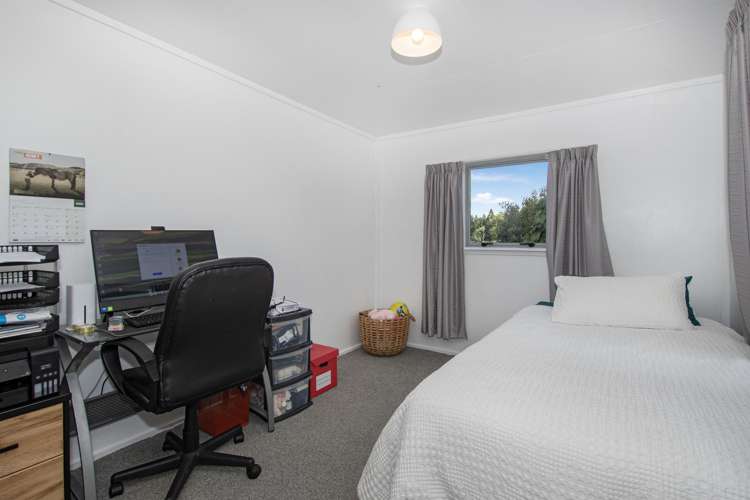 133 Apotu Road Kauri_7