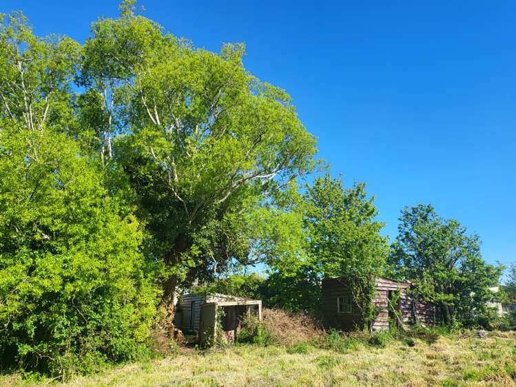 139 Main Street Mataura_21