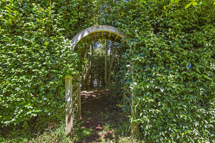 11 Scotsvale Drive Tauwhare_23