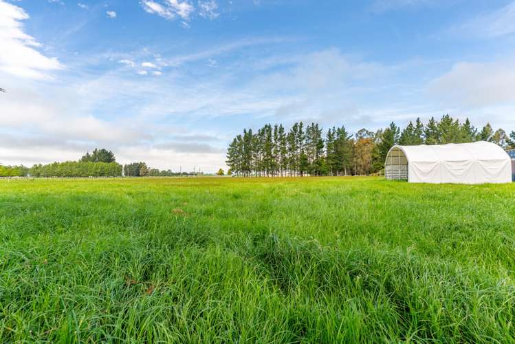 54 Studholme Settlement Road_5