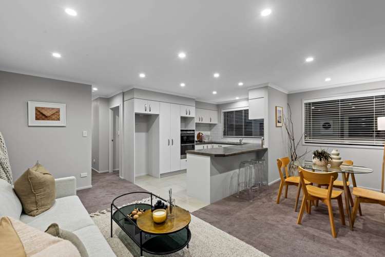 208b Glenmore Road Coatesville_12