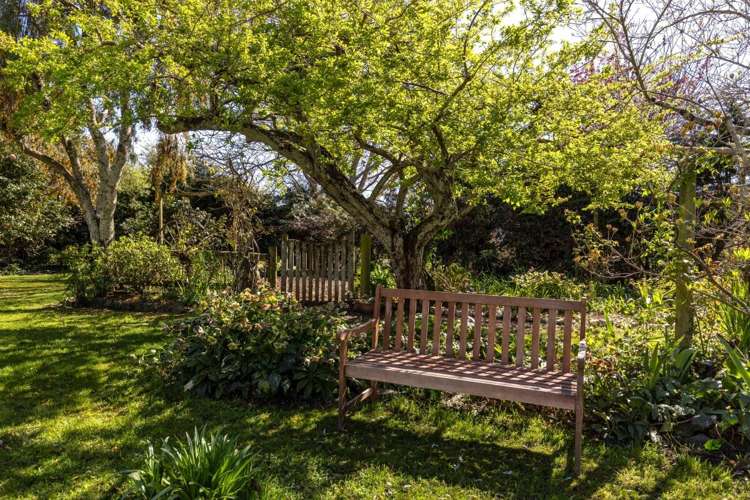 150 Selmes Road Rapaura_25