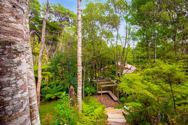 15 Kaurimu Rise Titirangi_20