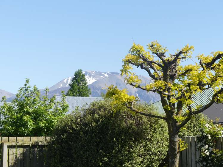 17 Lochhead Crescent Methven_20