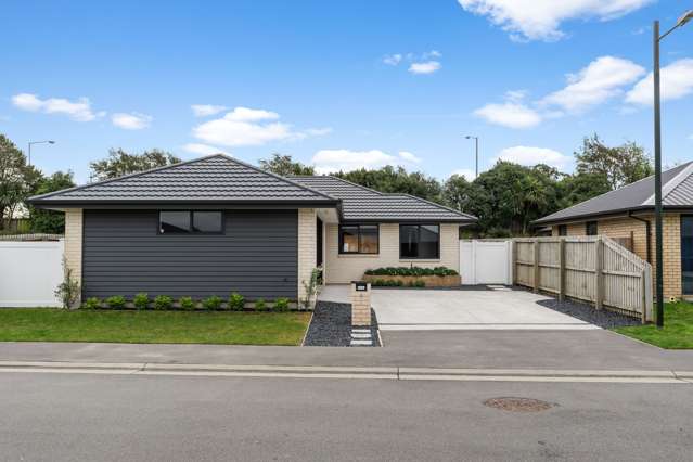 17 Dalwood Crescent Rolleston_2