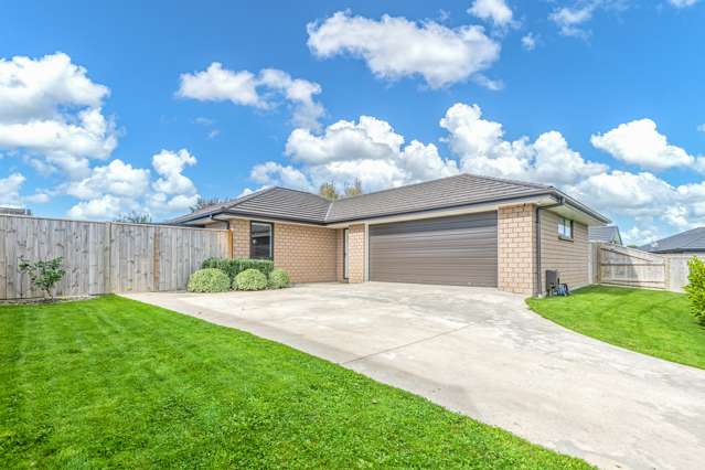 11 Monarch Drive Ashhurst_1