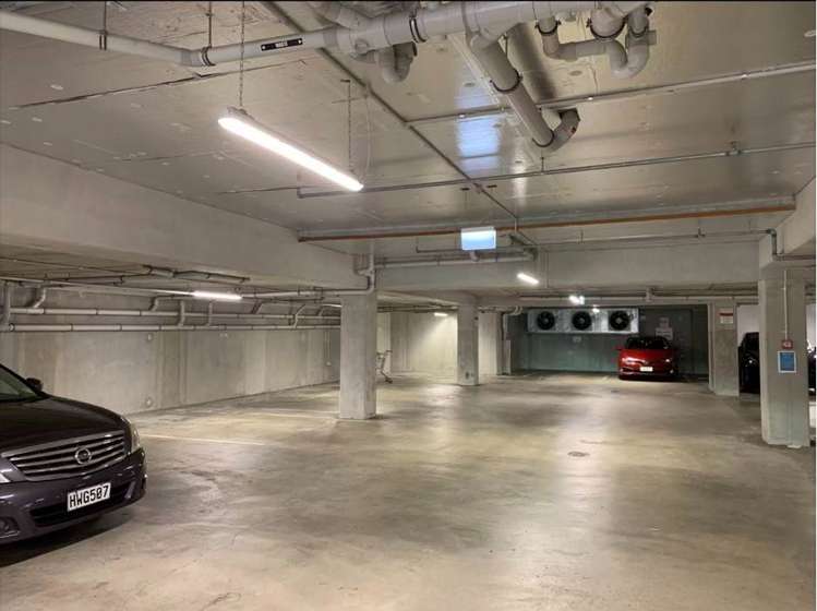 Edgerley Avenue Epsom_9