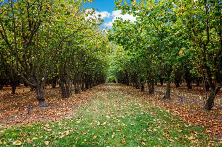 727 The Lake Road Leeston_13