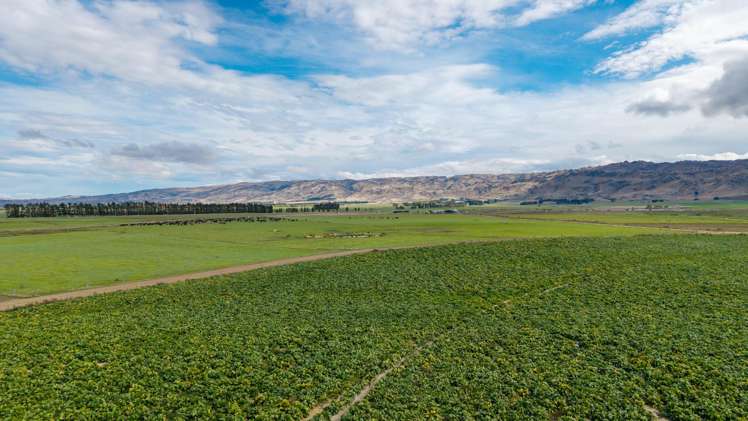 263 Puketoi Runs Road Puketoi_20