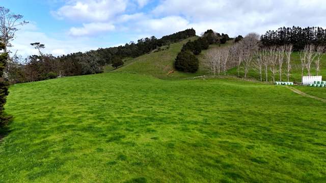 1149 Whangaripo Valley Road Whangaripo_1