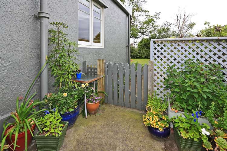 807 Oliphant Road Raureka_12