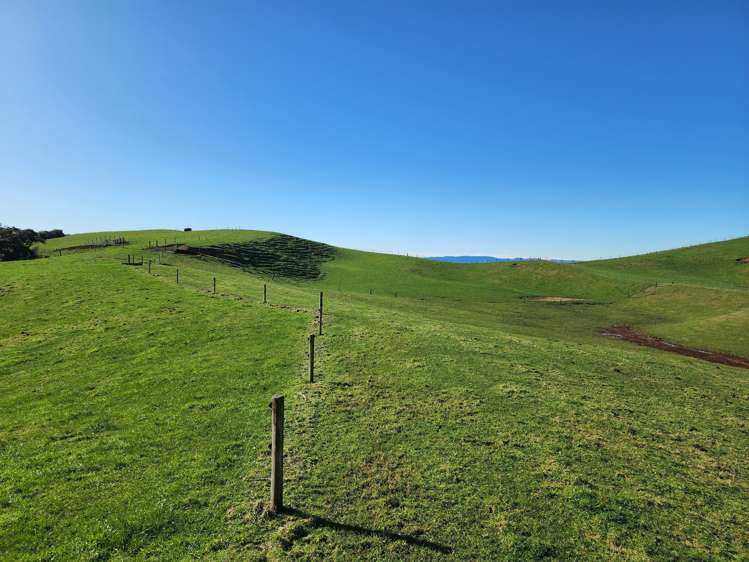 Te Anga Road Waitomo_14