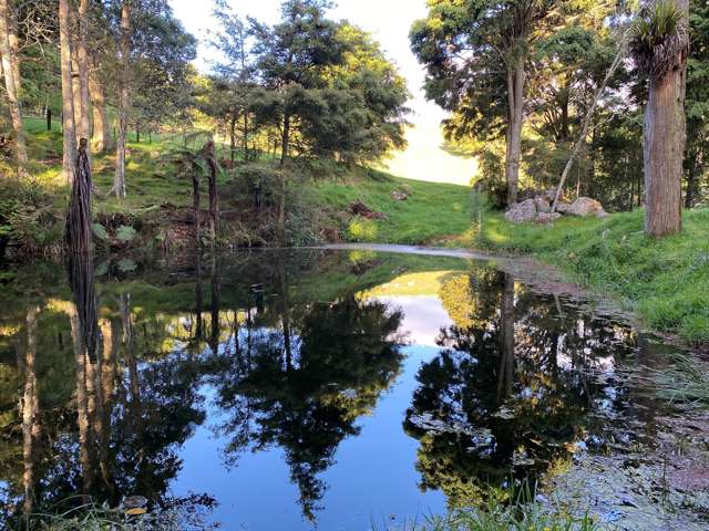 Pigs Head Road Whakapara_1