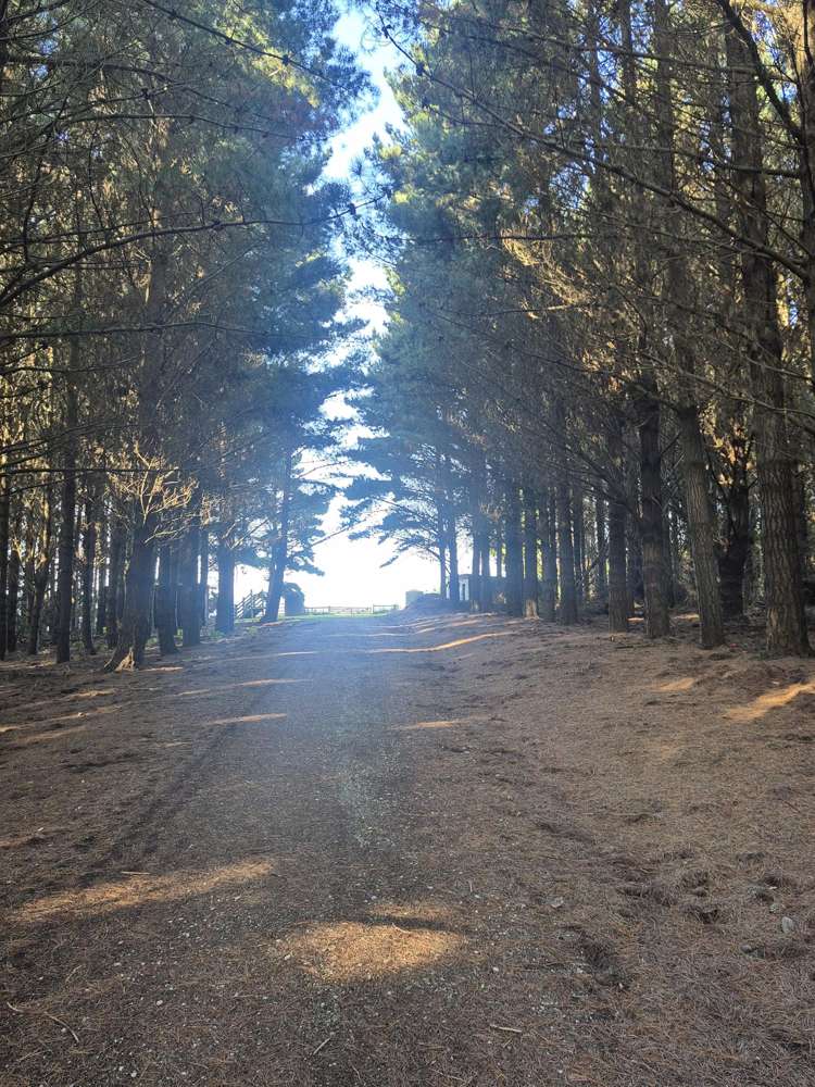 4894 Hampden-Palmerston Road Palmerston_44