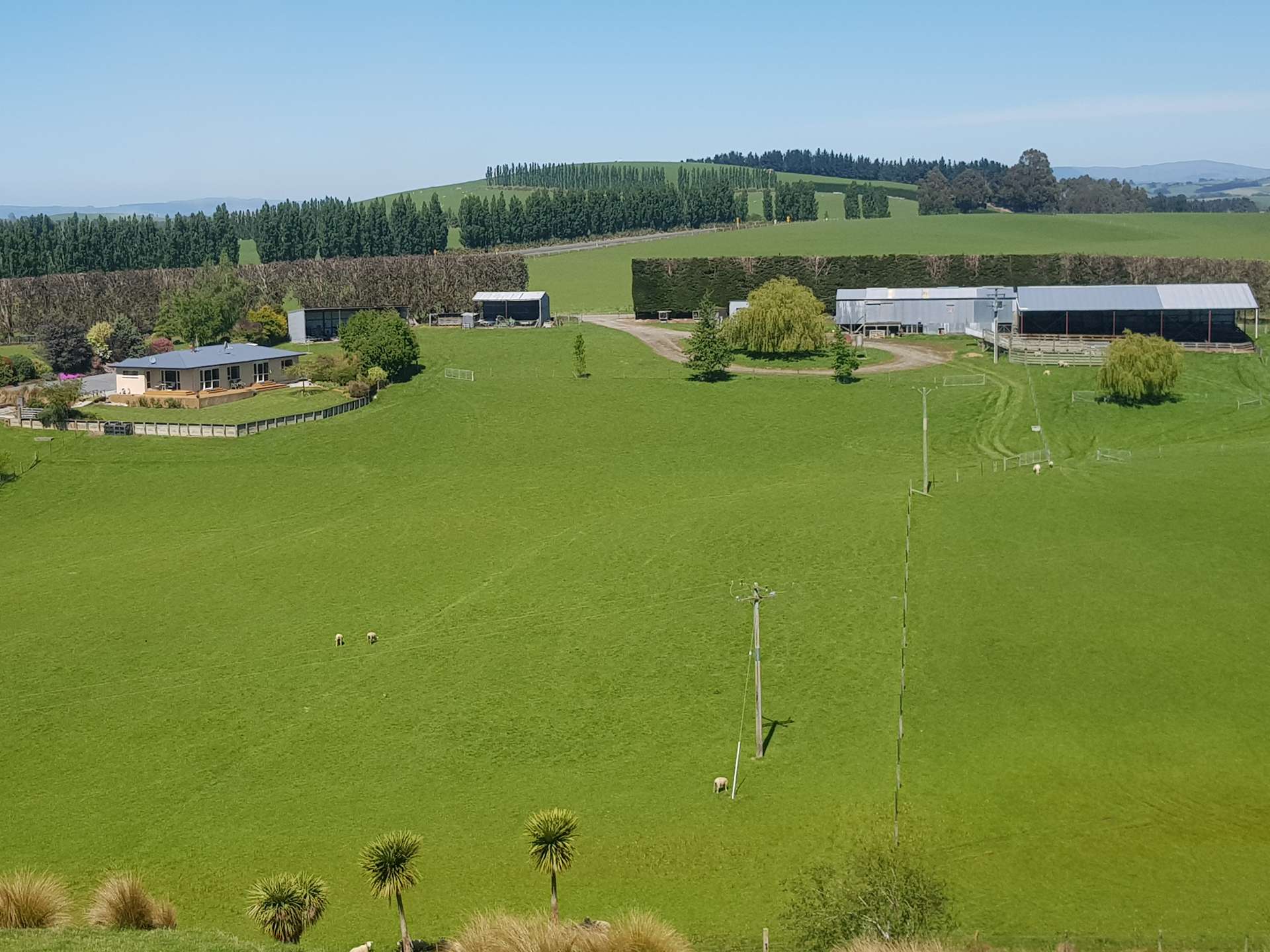 14 Hall Road Milton_0