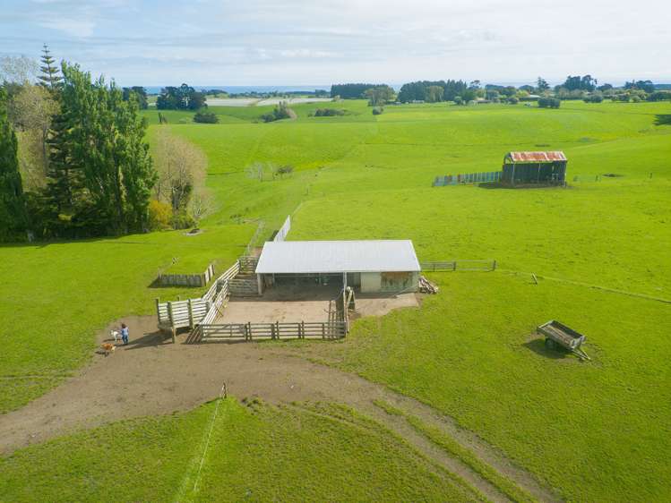 219 State Highway 3 Westmere_7