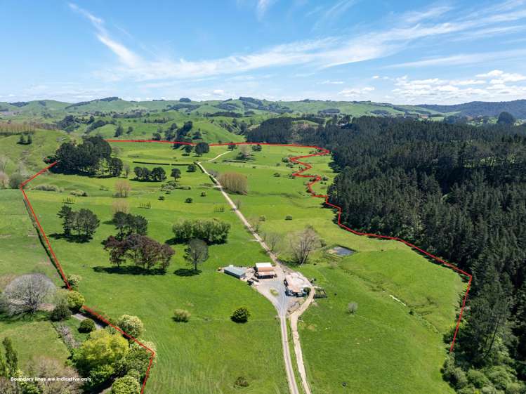 192 Taotaoroa Road Karapiro_16