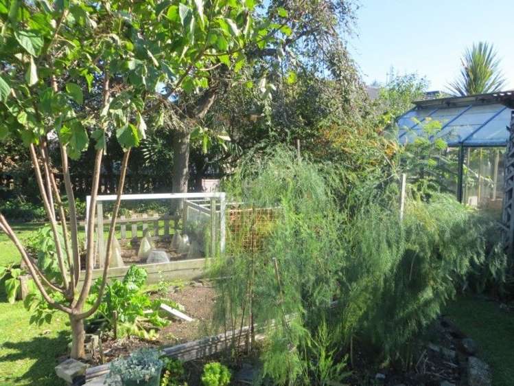 14 Barclay Avenue Te Aroha_22