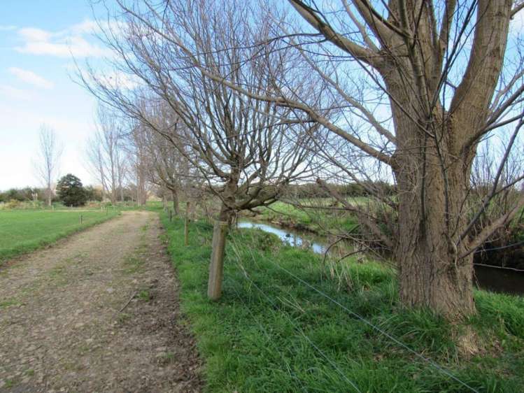 387 Te Aroha-Gordon Road Hauraki Surrounds_7