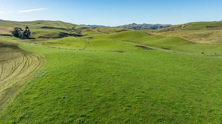 324 Reeces Road Omihi_13