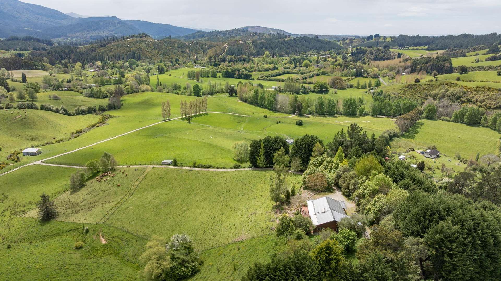 98 Thorpe-Orinoco Road Ngatimoti_0