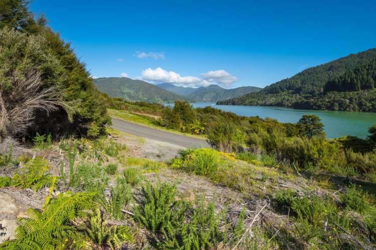 Lot 37 Kaiuma Bay Road Kaiuma Bay_11