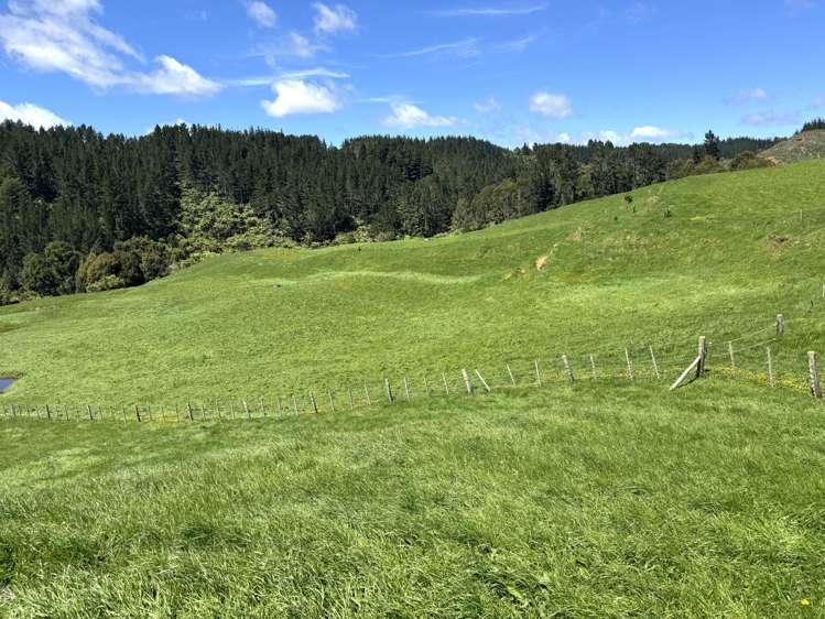 3/585 O'Shea Road Pirongia_14