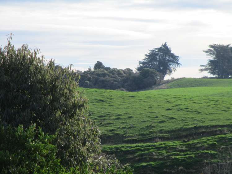 14 Kamahi Street Kaka Point_15