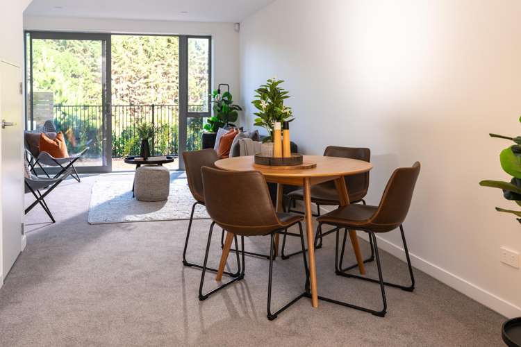 84 Ara Paiwhenua Tawa_12