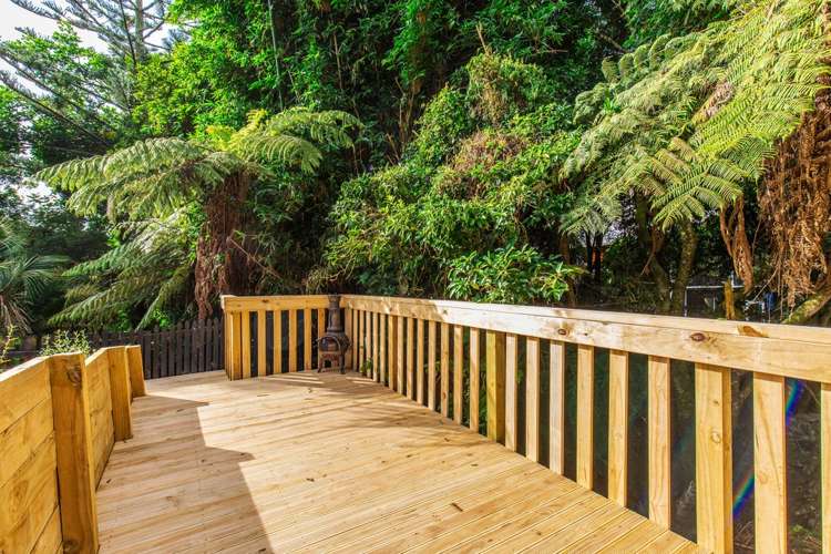 93 Canongate Street Birkdale_6