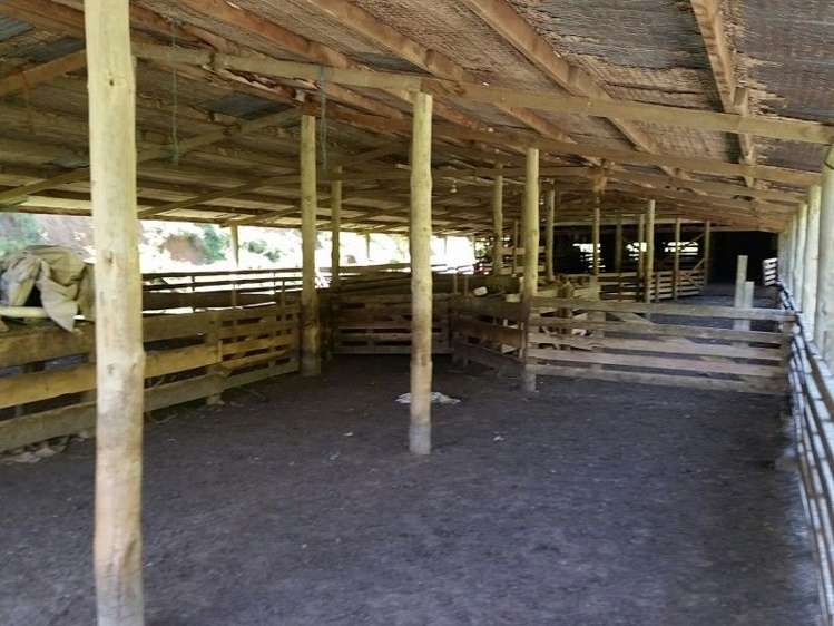 1584a Brunswick Road Kai Iwi_8