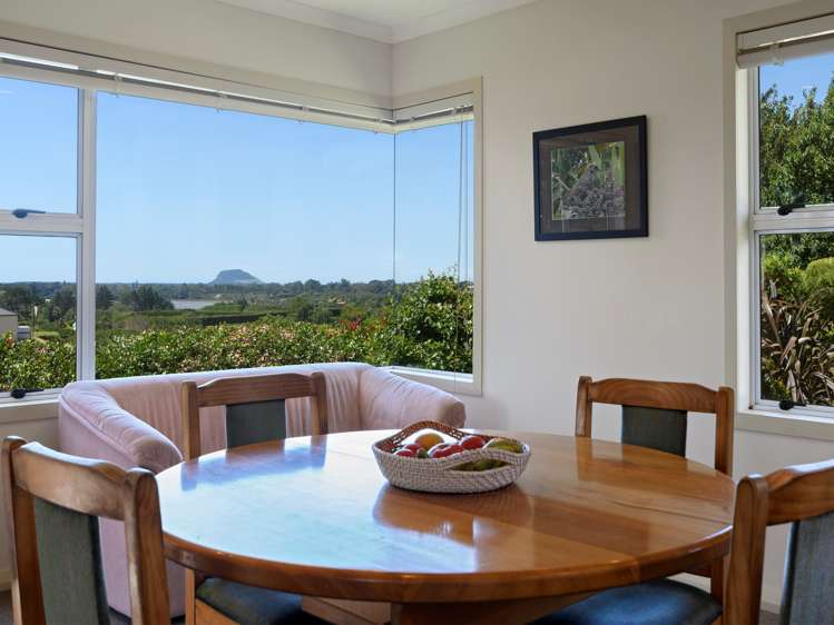 29 Whakamarama Road Whakamarama_10