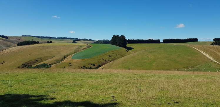 890 Mount Stuart Road Balclutha_6