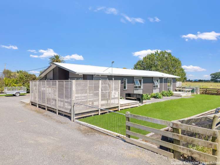 4941 Orchard East Road Ngatea_2