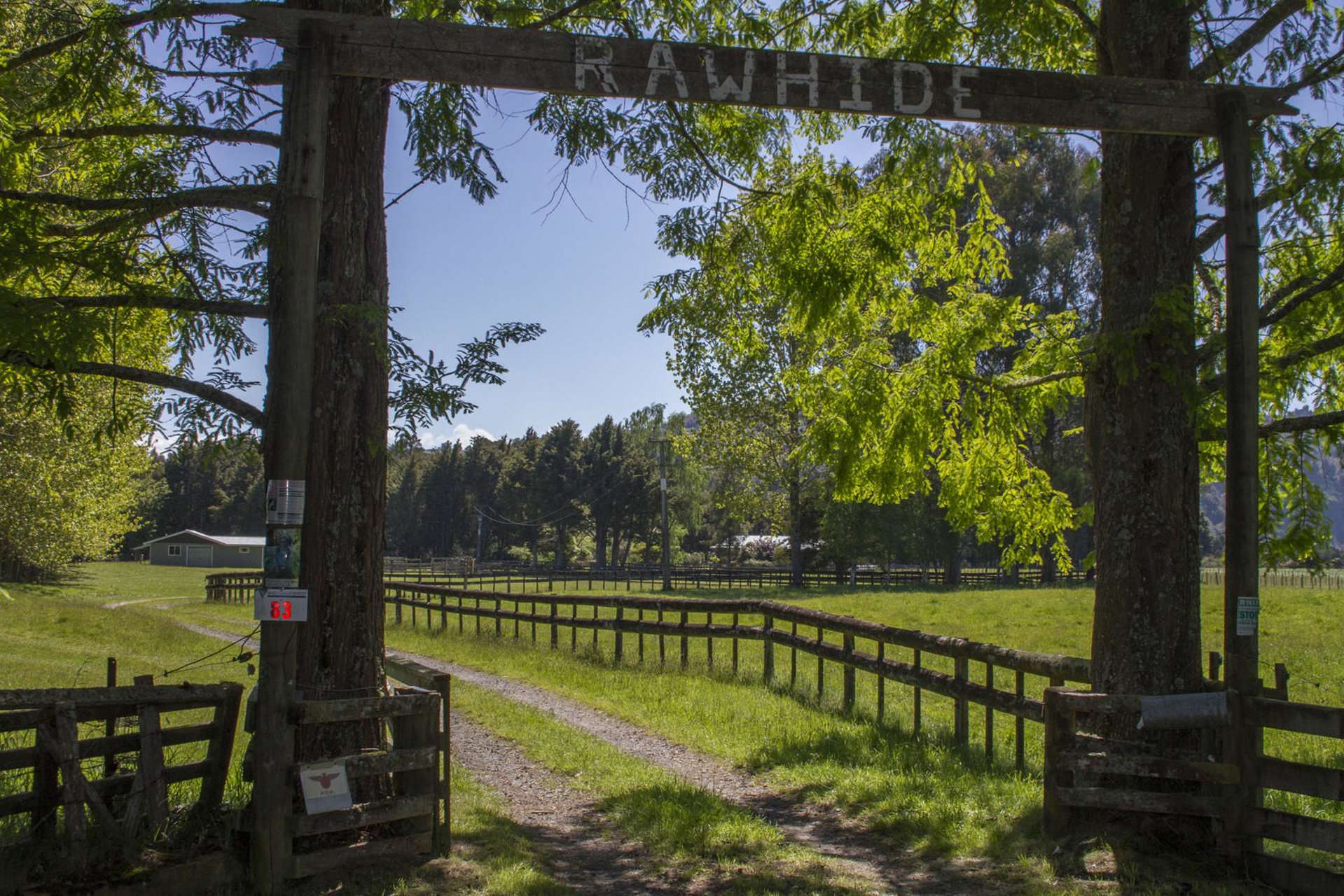 83 Noho Street Kakahi_0