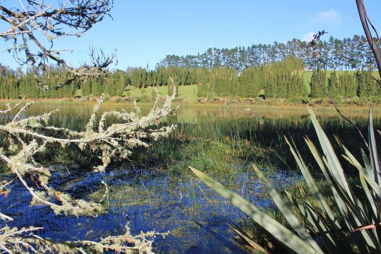 35c Tyree Road Kerikeri Surrounds_19