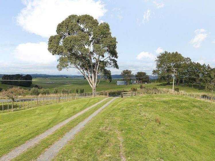 495 Koheroa Road Mercer_5