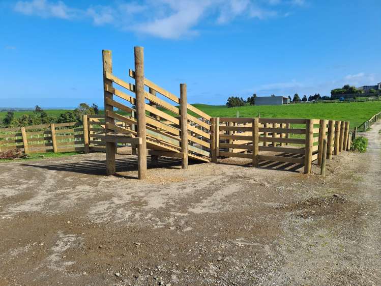 629 South Road Omata_11