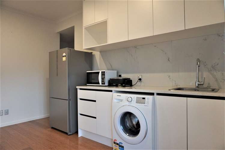 11 Carrygawley Road Flat Bush_5