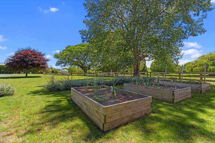 16 Duncan Road Ngahinapouri_14