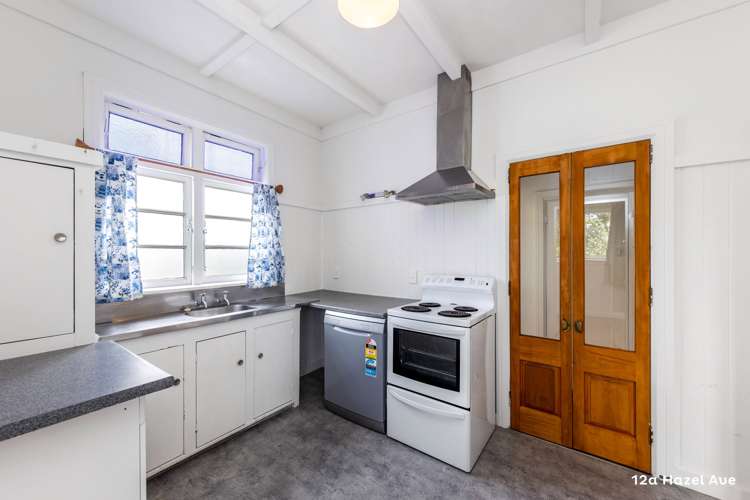 12a Hazel Avenue Mount Roskill_6