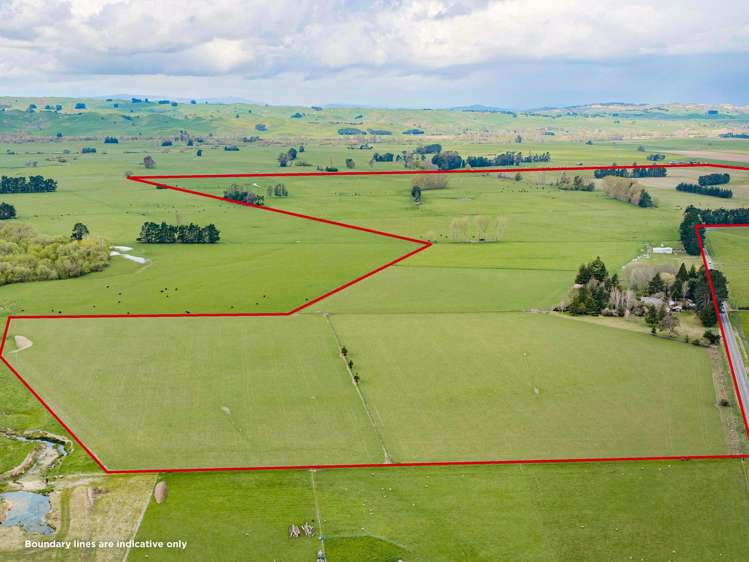 1626 Tikokino Road_0