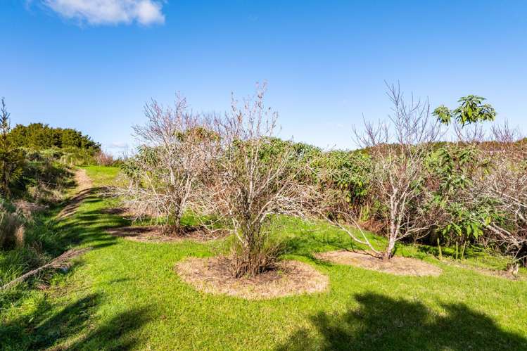 3/69A Vineyard Lane Mangawhai_7