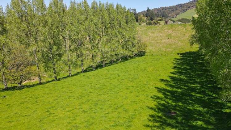 517 Paradise Valley Road Ngongotaha Valley_28