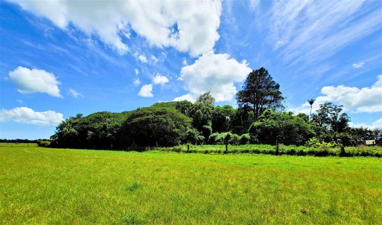 Tramline Road Ruawai_2