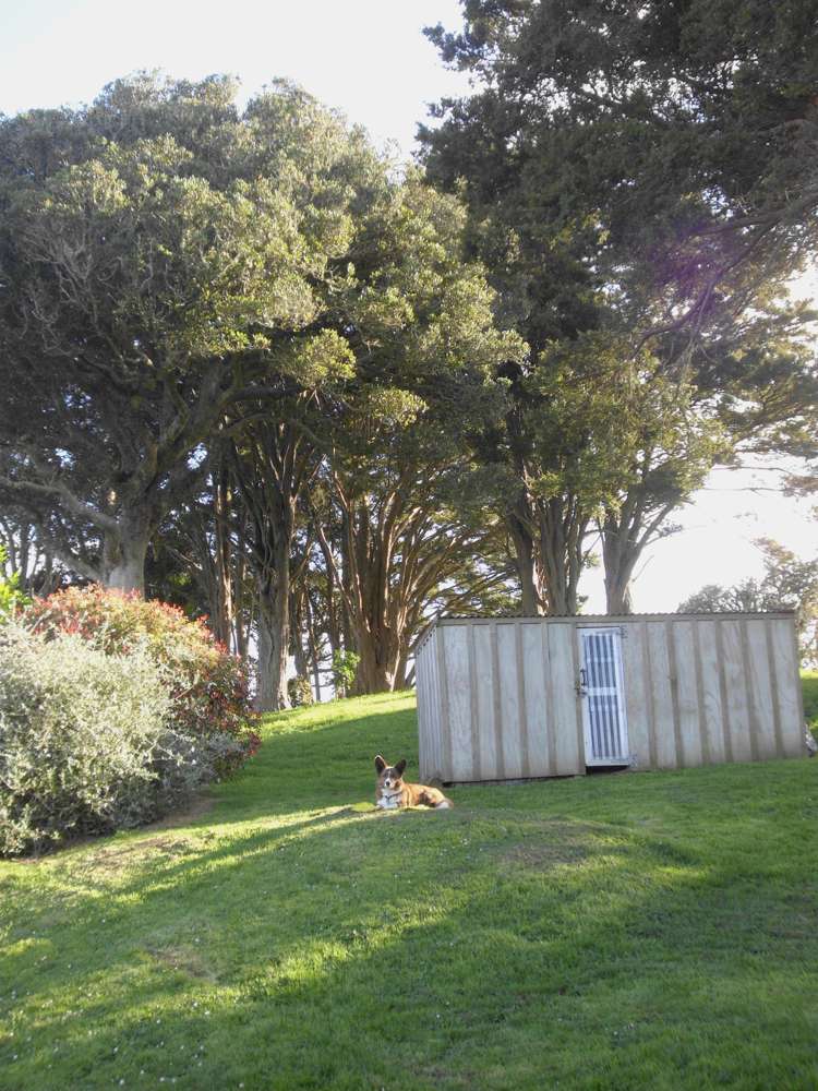 24 Totara Rise Maungaturoto_28